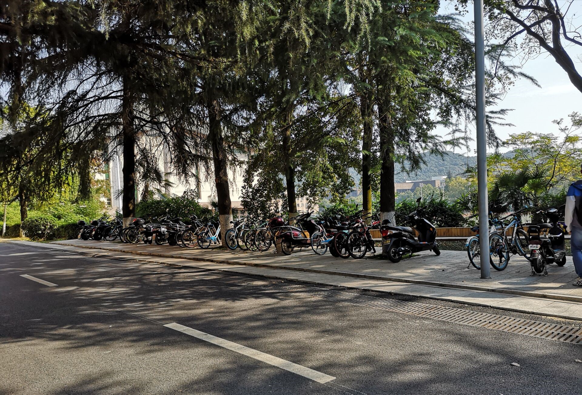 m1541160811148521.jpg m1541160811148521.jpg